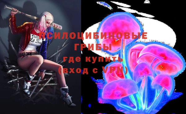 дурь Каменск-Шахтинский