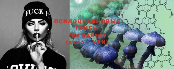 бутират Каменка