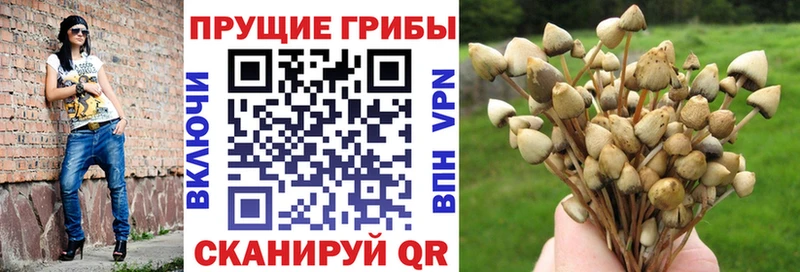 Псилоцибиновые грибы мицелий  купить   Лянтор 